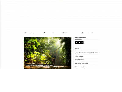 raarmagazine.com snapshot