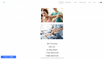 www.alltimecarephysicaltherapy.com snapshot