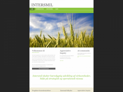 intersmil.dk snapshot