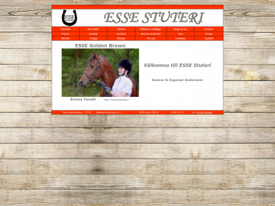 essestuteri.se snapshot