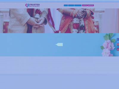 trustedmatrimony.in snapshot