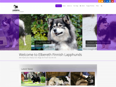 finnishlapphund.uk snapshot