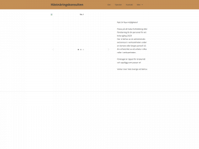 hastnaringskonsulten.se snapshot