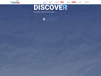 tripingo.com snapshot
