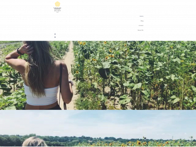 sunshinecoffeedelight.com snapshot