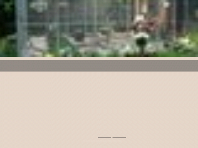 dezwartekat-poezenopvang.be snapshot