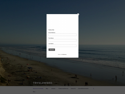 tryslowbro.com snapshot