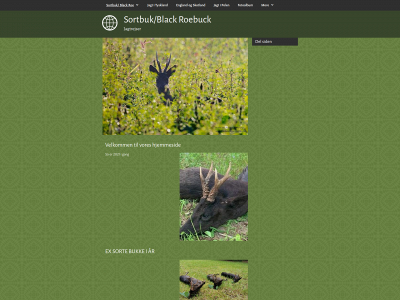 sortbuk.dk snapshot