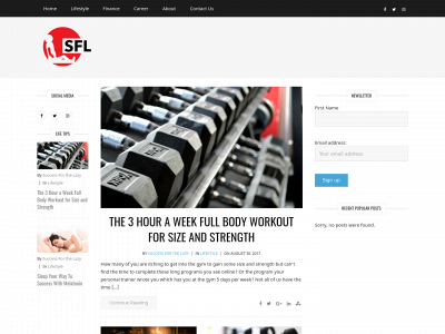 successforthelazy.com snapshot
