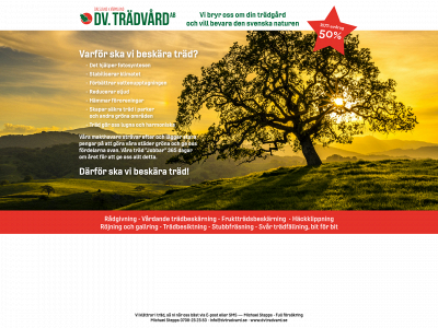 dvtradvard.se snapshot