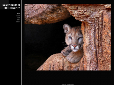 damronphoto.com snapshot