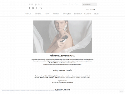 dropslietuva.com snapshot