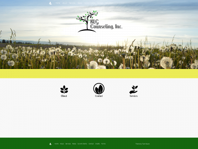klgcounseling.com snapshot