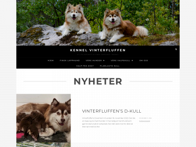 vinterfluffen.no snapshot