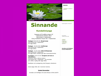 sinnande.se snapshot