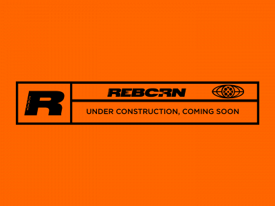 reborncollective.nl snapshot