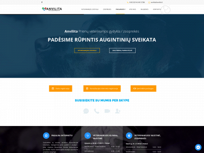 anvilita.lt snapshot
