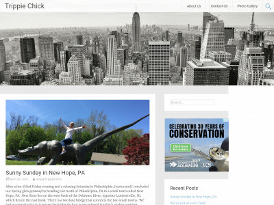 trippiechick.com snapshot