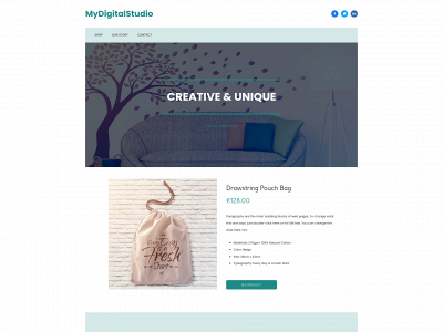 mydigitalstudio.org snapshot