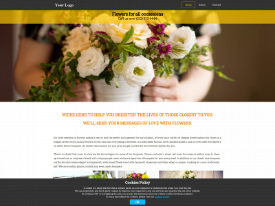 1540299135694.sitebuilder.euro-cosmos.info snapshot