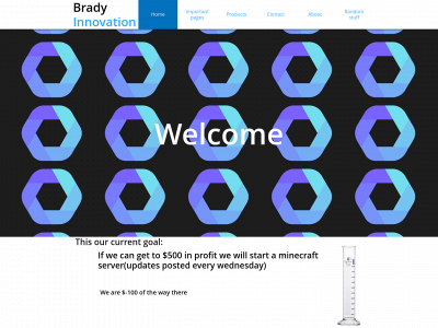 bradyinnovation.com snapshot