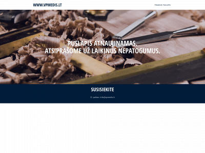 vpmedis.lt snapshot