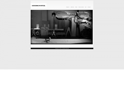 adriannewortzel.com snapshot