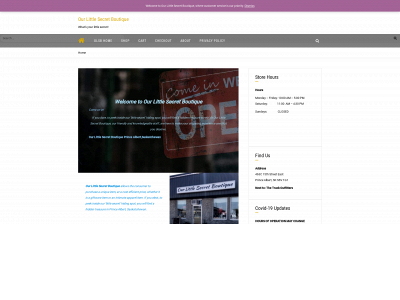 ourlittlesecretboutique.ca snapshot