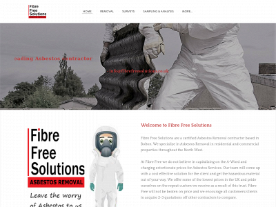 www.fibrefreesolutions.co.uk snapshot