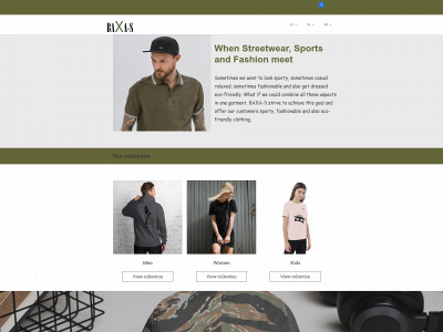 baxa-s.com snapshot