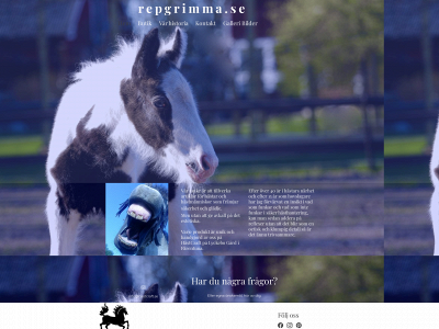 repgrimma.se snapshot