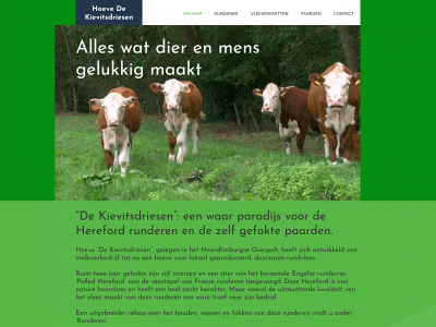 dekievitsdriesen.be snapshot