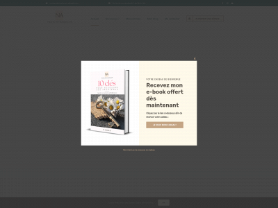 nezha-ait-el-kadi.com snapshot