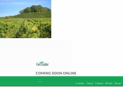 fairtrader.co.za snapshot