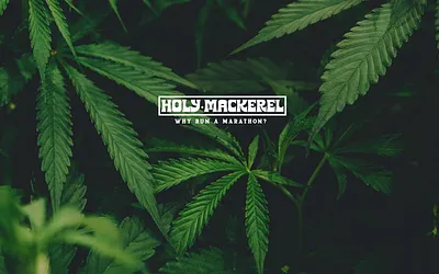 holymackerel.store snapshot