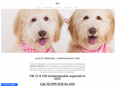 christensengoldendoodlesdakota.weebly.com snapshot