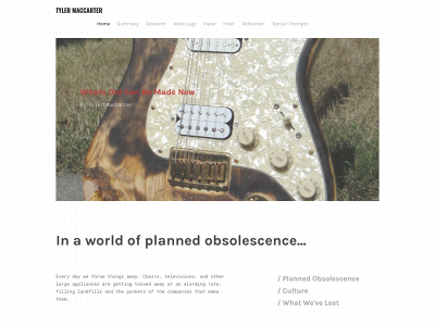 throwawayculture.weebly.com snapshot