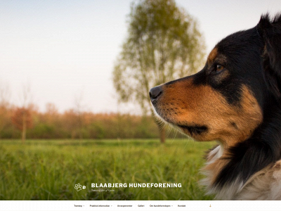 blaabjerghund.dk snapshot