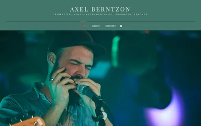axelberntzon.com snapshot
