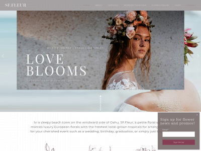 sfleur.gdn snapshot