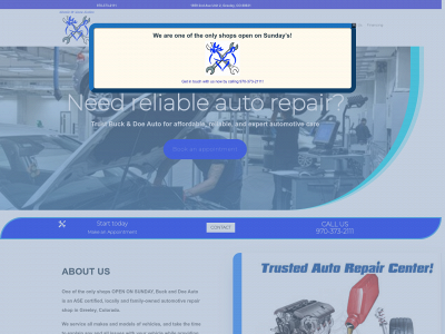 buckanddoeauto.com snapshot