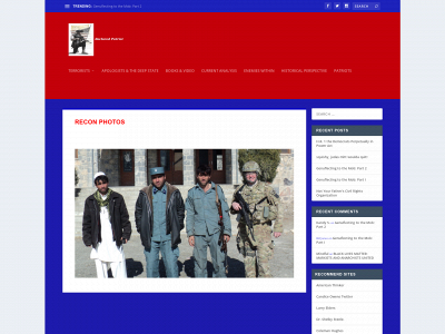 declaredpatriot.com snapshot