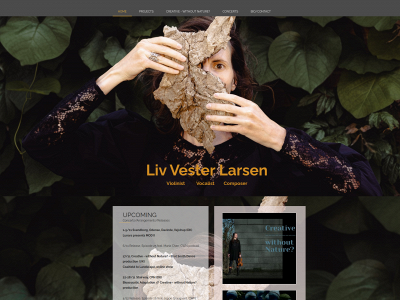 livvesterlarsen.com snapshot