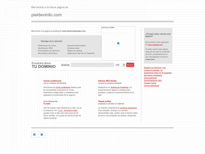 pieldevinilo.com snapshot