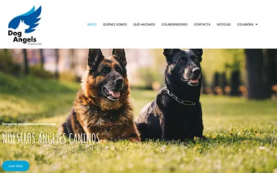 fundaciondogangels.org snapshot