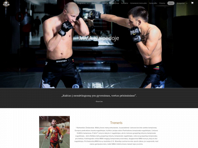 teamlionmma.lt snapshot