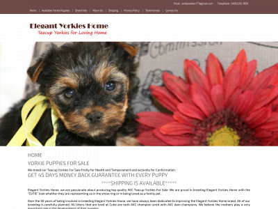 elegantyorkiepuppieshome.com snapshot