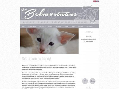 bekmoertnans.com snapshot