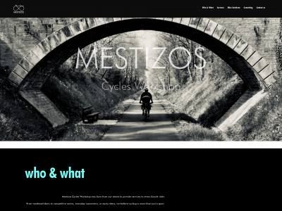 mestizos.lt snapshot