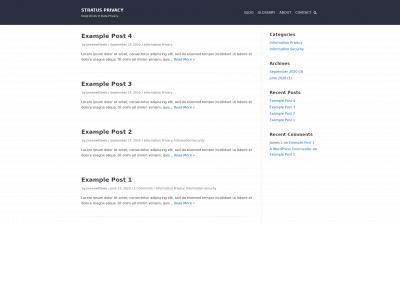 stratusprivacy.com snapshot